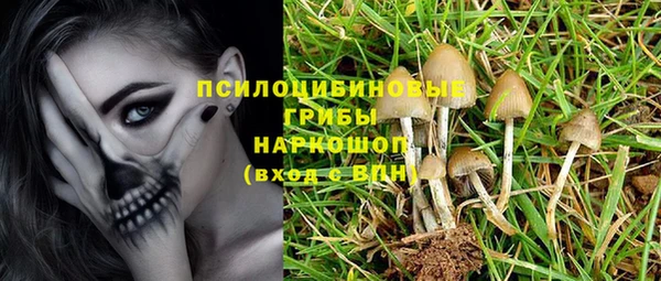 крисы Сафоново