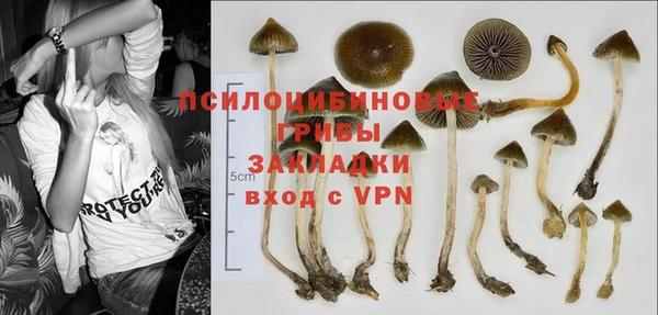 твердый Баксан